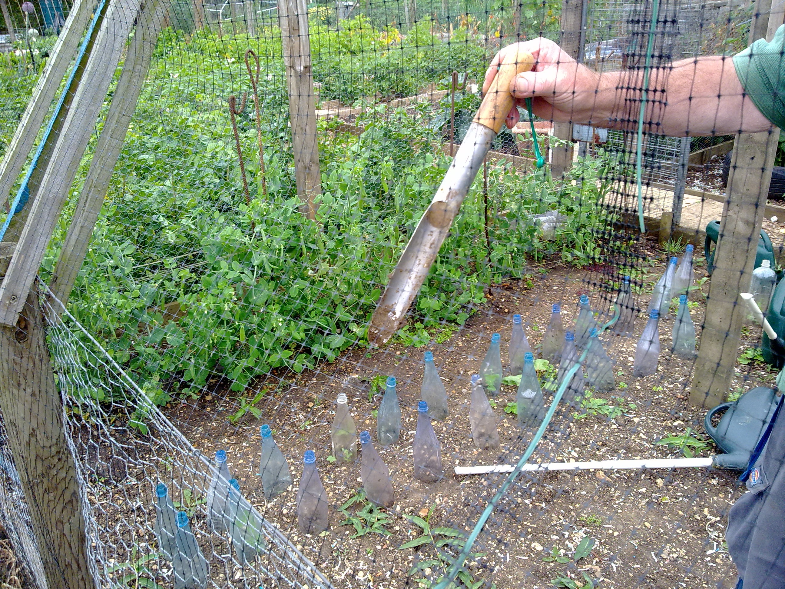 photo of weeding tool