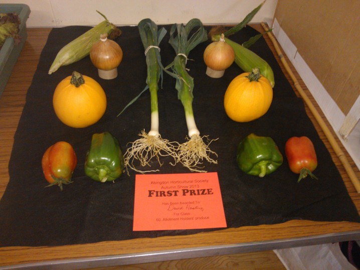 allotment winner picture