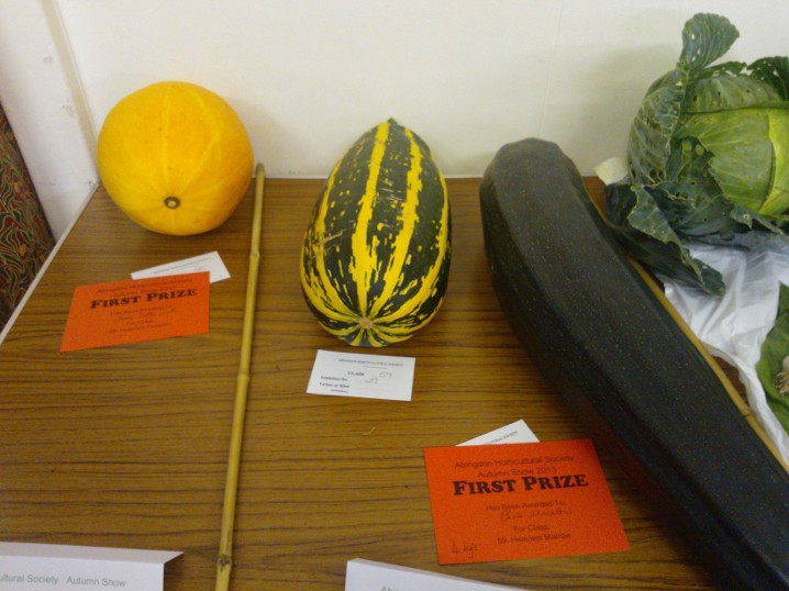 marrow picture