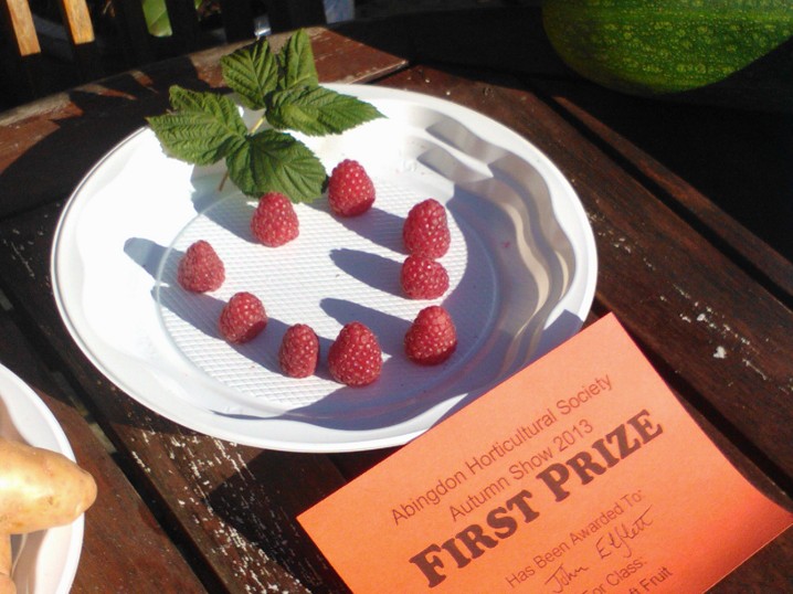winning raspberry picture
