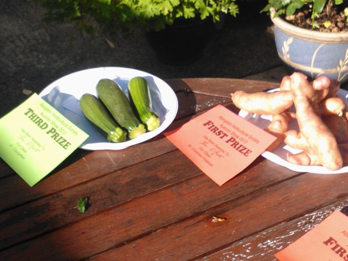 courgette picture
