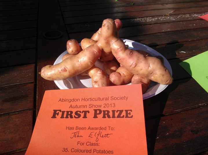 2013 1st prize spuds