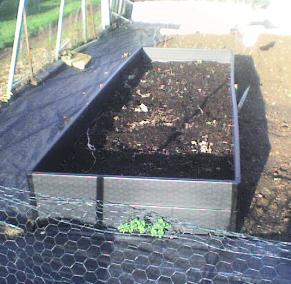 Photo of a raised bed