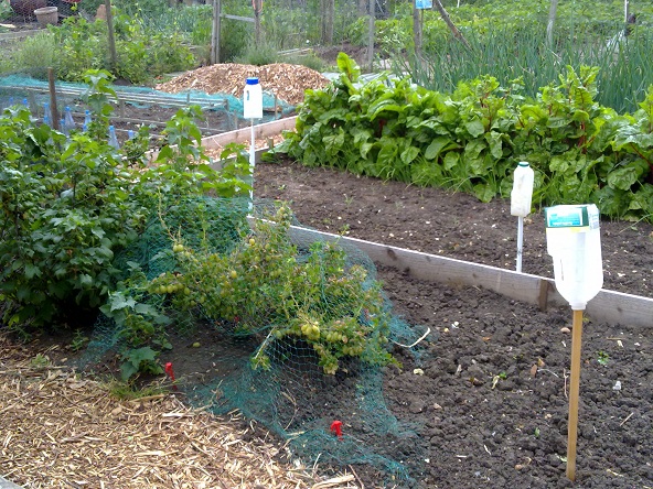 photo of plot 1a