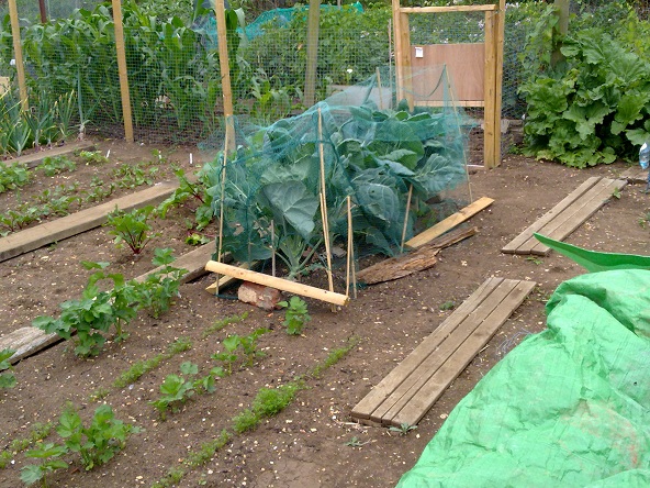 photo plot 1f