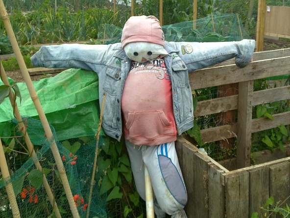 photo of scarecrow